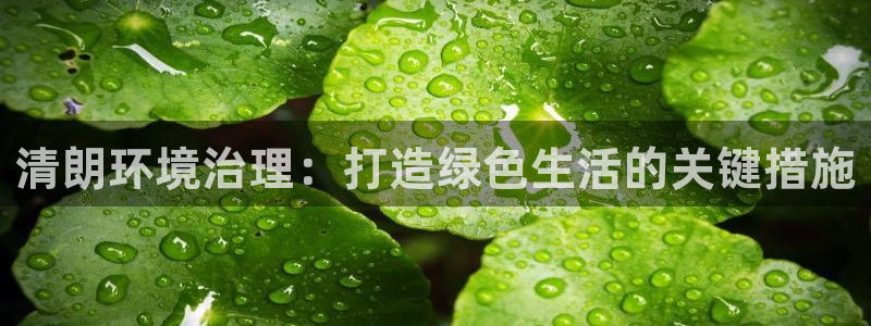 凯发网娱乐官网登录：清朗环境治理：打造绿色生活的关键措施