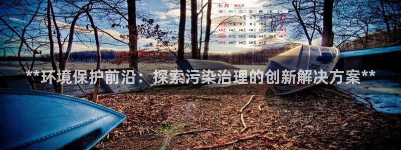 k8凯发国际官方入口|**环境保护前沿：探索污染治理的创新解决方案**