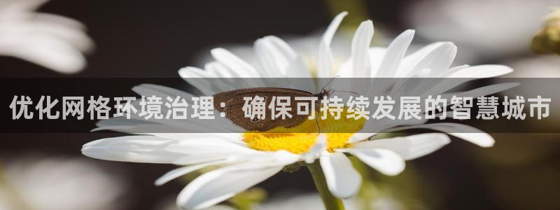 凯发官网入口首页|优化网格环境治理：确保