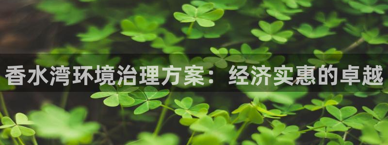 凯发k8一触即发|香水湾环境治理方案：经济实惠的卓越